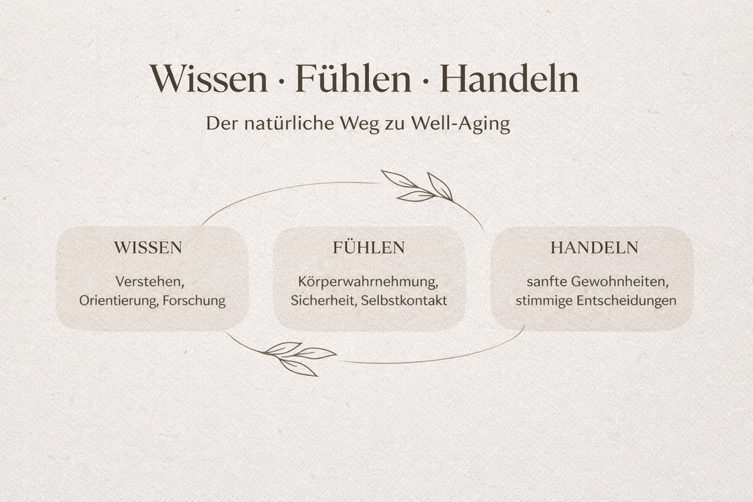 Wissen, Fühlen, Handeln – der ganzheitliche Weg zu Well-Aging & Longevity