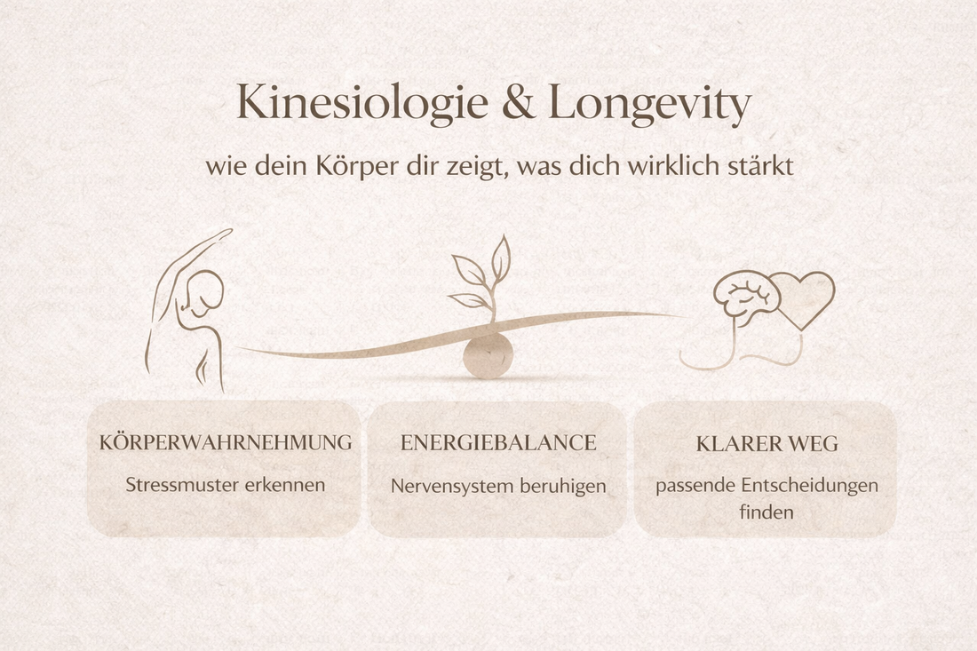 Kinesiologie & Longevity – wie dein Körper dir zeigt, was dich wirklich stärkt