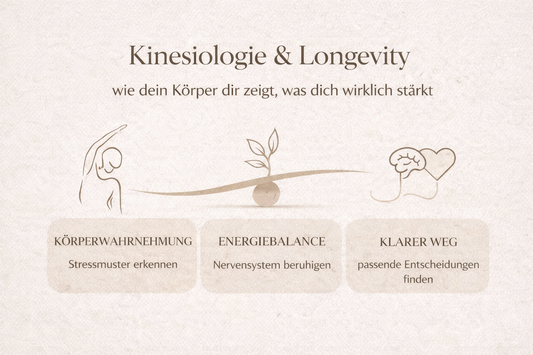Kinesiologie & Longevity – wie dein Körper dir zeigt, was dich wirklich stärkt