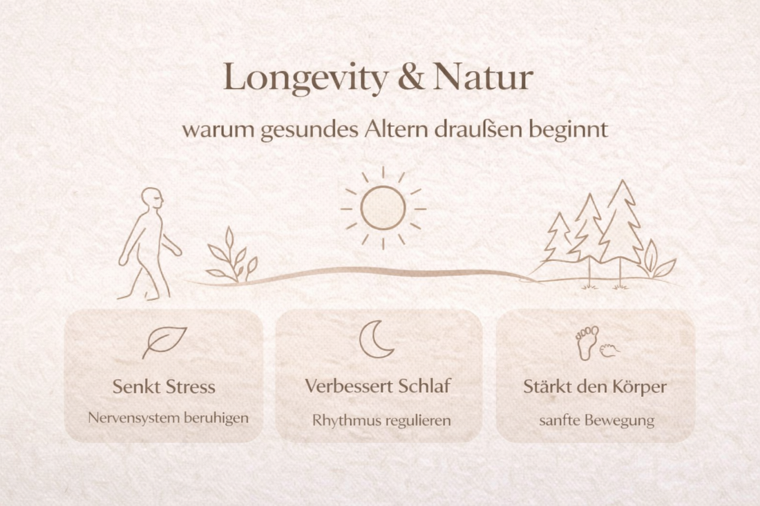 Longevity in der Natur – warum gesundes Altern draußen beginnt