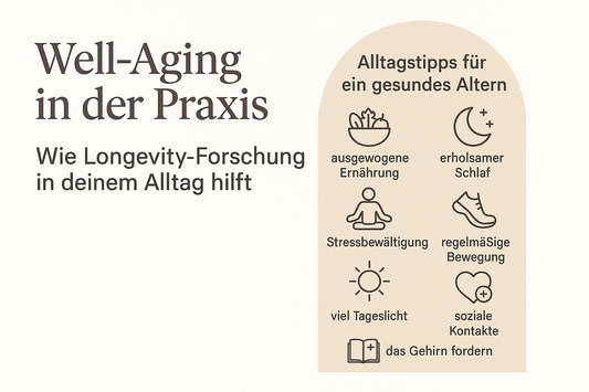 Well-Aging in der Praxis – wie Longevity-Forschung dir im Alltag wirklich hilft