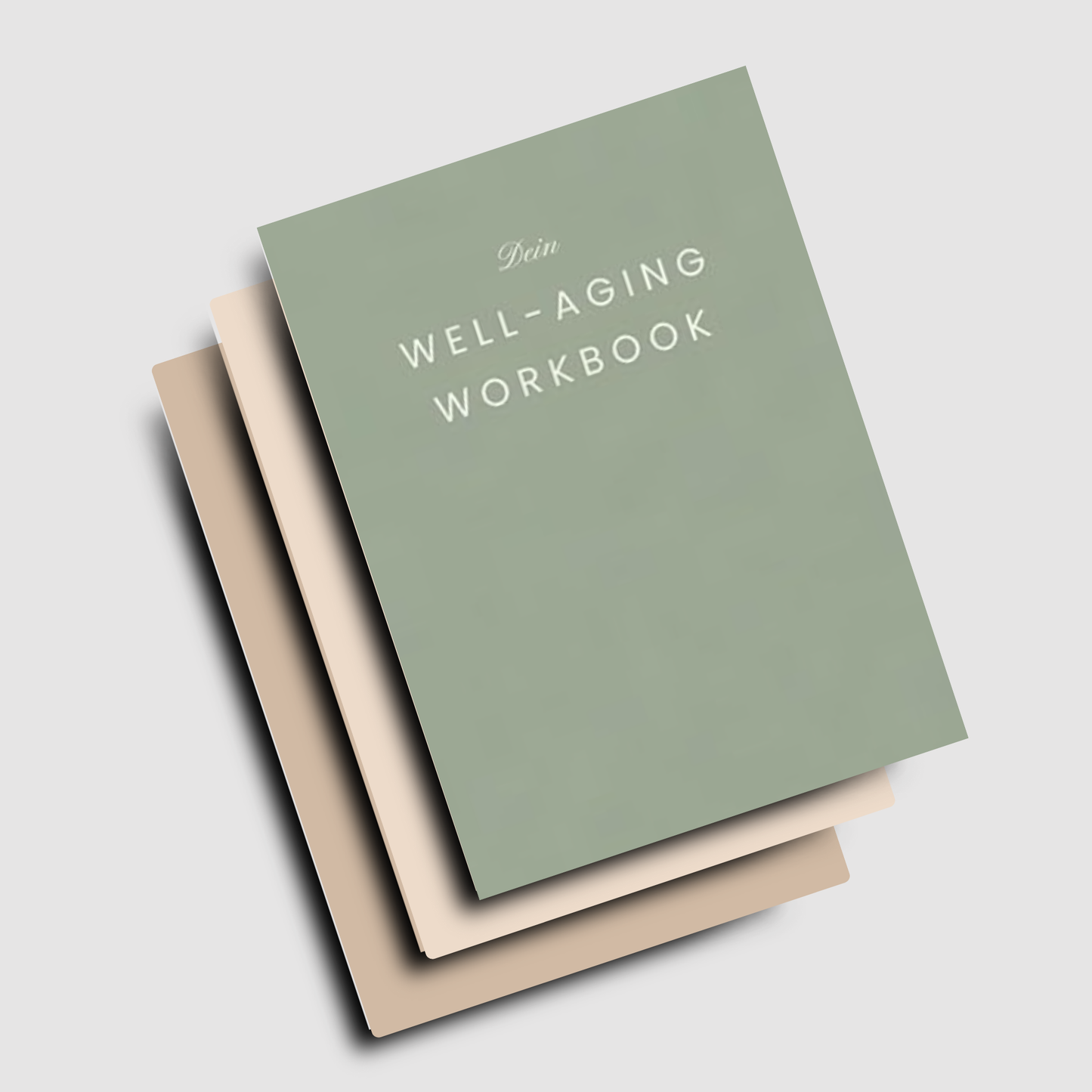 Well-Aging Workbook - 100 inspirierende Impulse