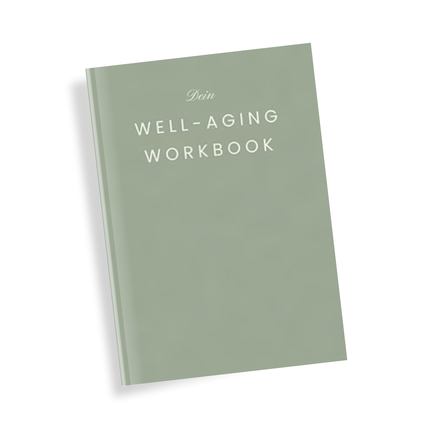 Well-Aging Workbook - 100 inspirierende Impulse