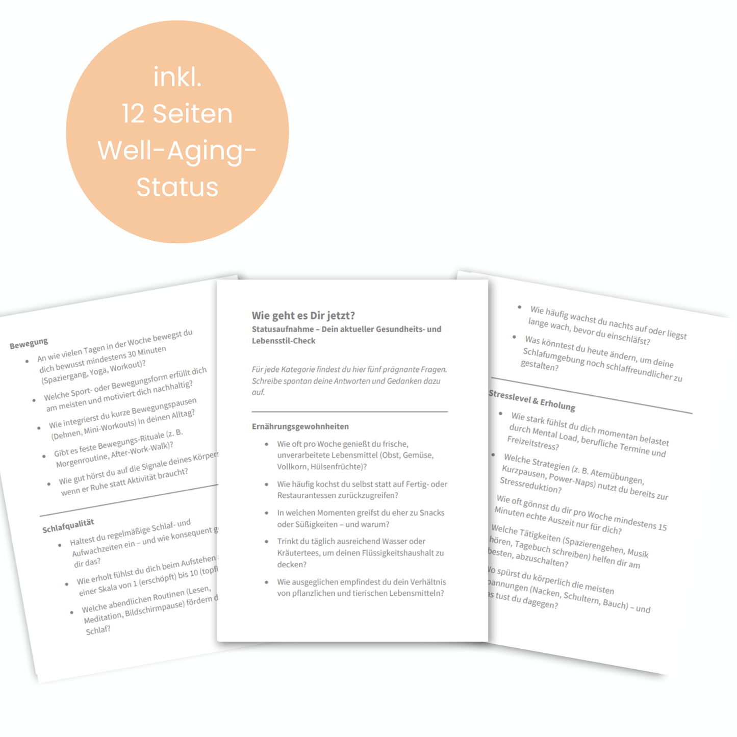 Well-Aging Workbook - 100 inspirierende Impulse