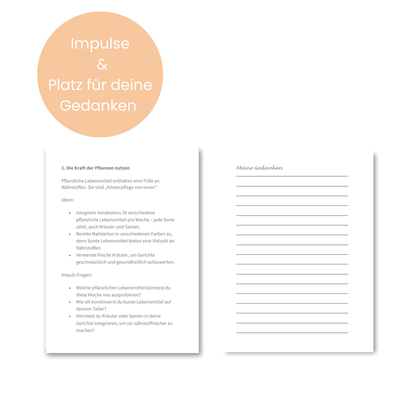 Well-Aging Workbook - 100 inspirierende Impulse